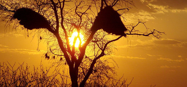 sunset, african namibia hunting safari onduri